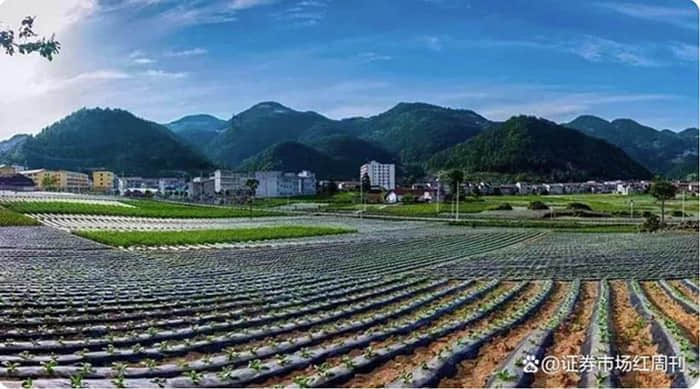 武汉两会丨2024年武汉财政预算将重点支持科技创新、民营经济等领域