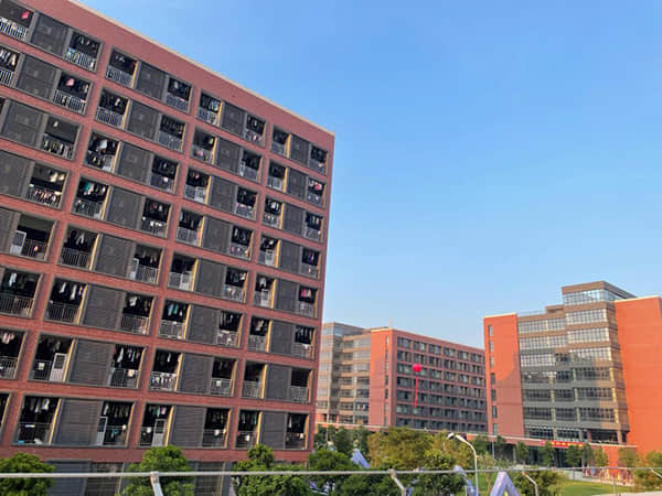 经常吃“腰子”的人，身体会发生什么变化？
